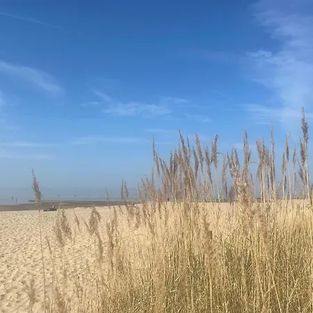 Nordseebrandung A3.3 *